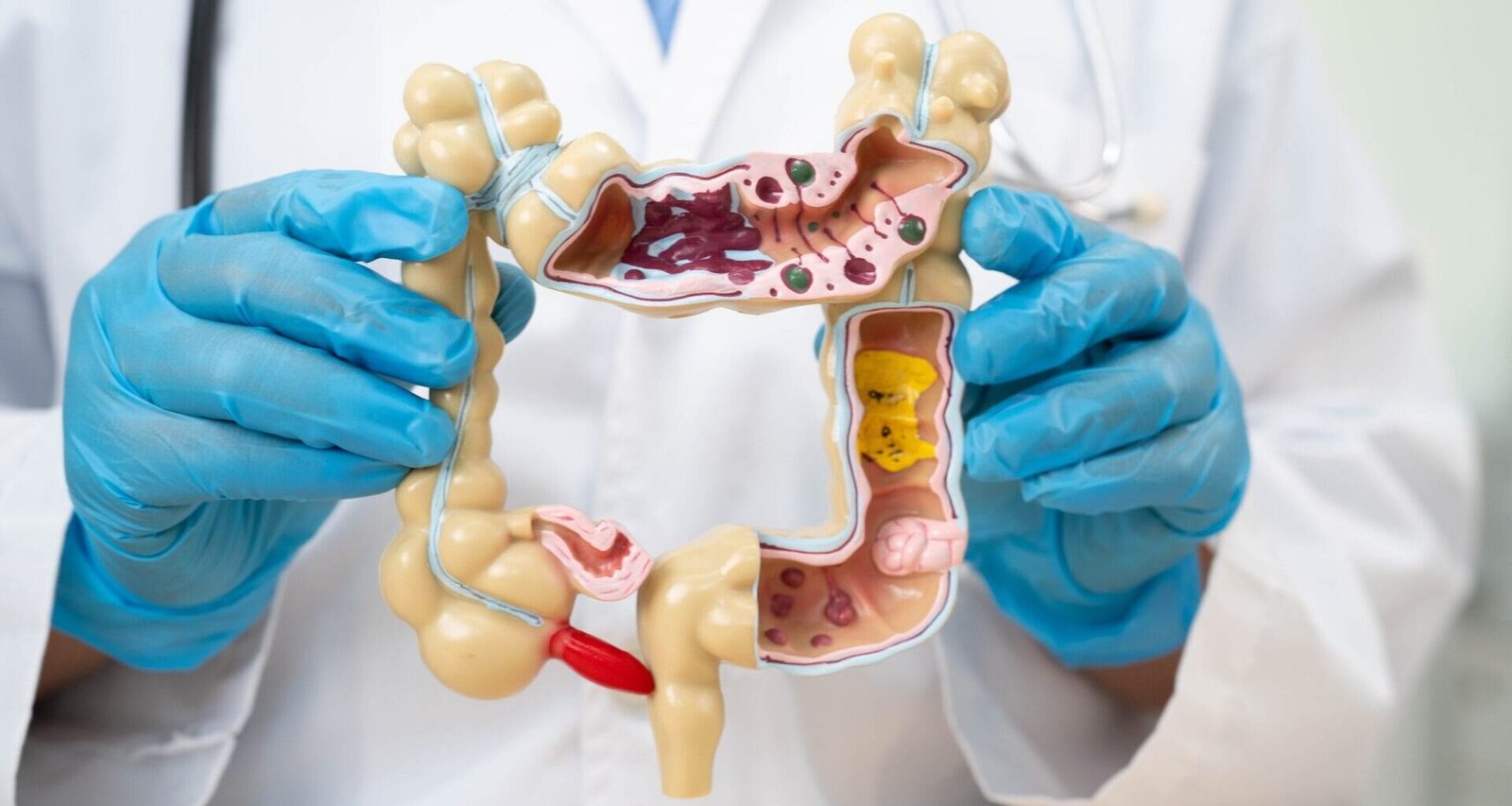 Your Symptom journal