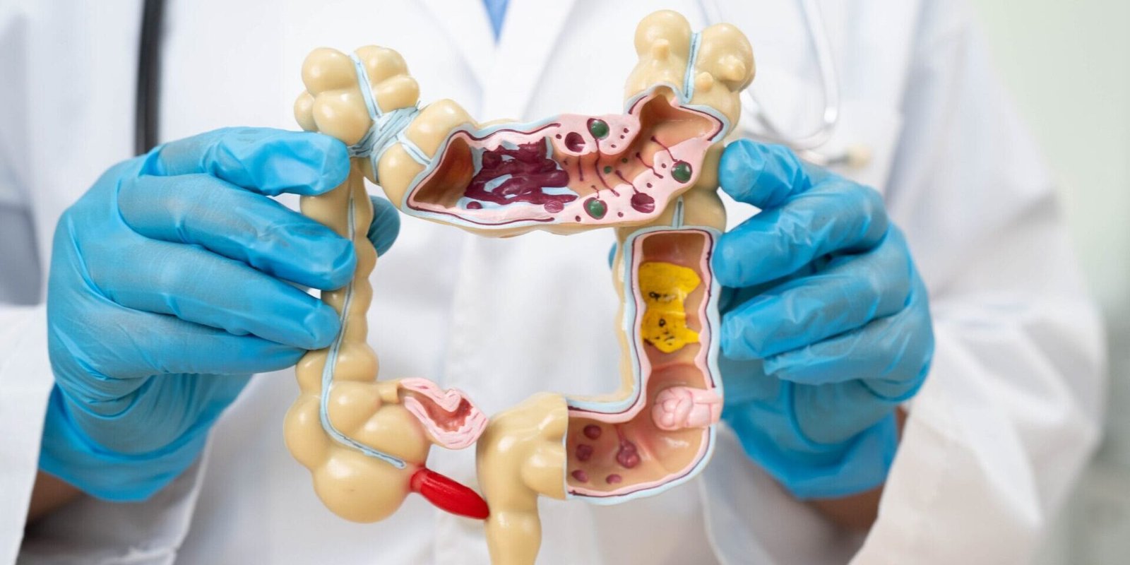 Your Symptom journal