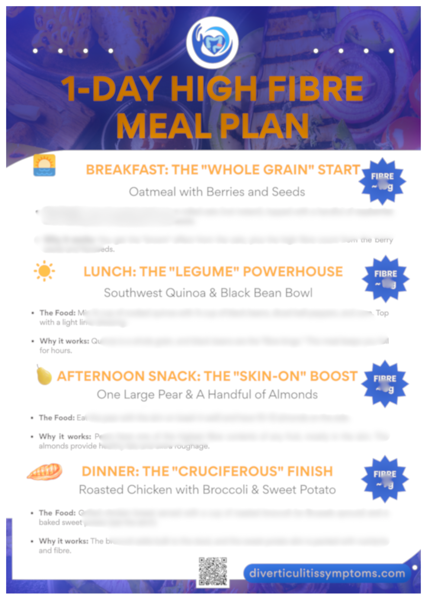 1 Day High Fibre Meal Plan